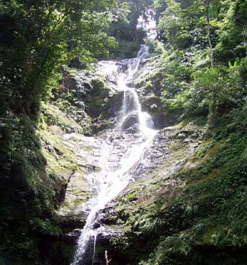 Upper Rincon Falls, Trinidad