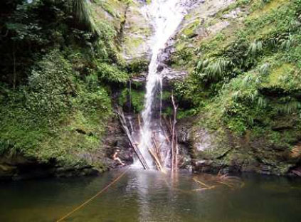 Pool at Rincon Falls, Trinidad, West Indies